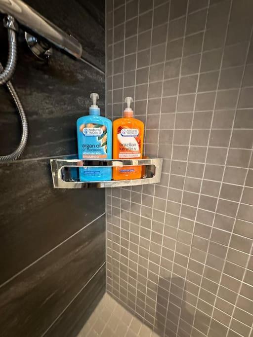 Appartement Lille Damsgardsveien 61 à Bergen Extérieur photo